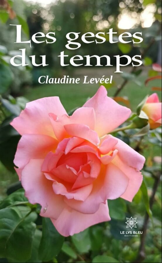 LES GESTES DU TEMPS EBOOK (edición en francés)
