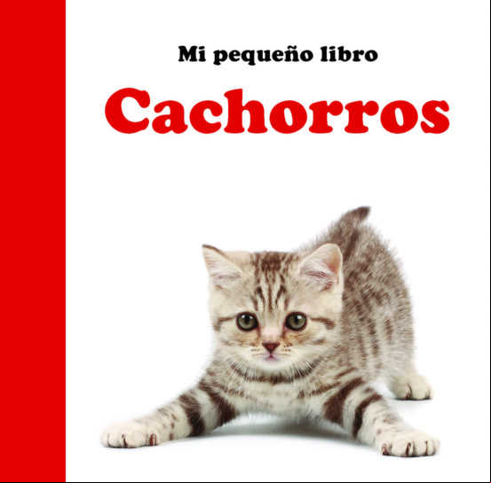 Cachorros Cachorros