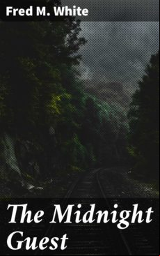 THE MIDNIGHT GUEST EBOOK (edición en inglés)