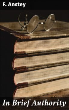 IN BRIEF AUTHORITY EBOOK (edición en inglés)