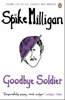 Goodbye Soldier (ebook)