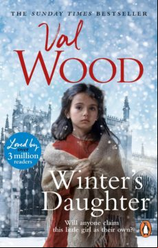 WINTER S DAUGHTER (edición en inglés)