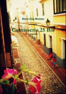 Carnisseria 25 Bis (ebook)