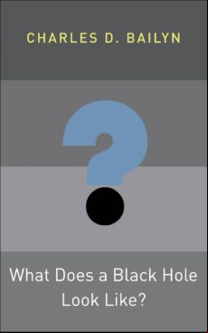 What Does A Black Hole Look Like? (ebook)