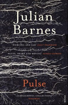 Pulse (ebook)