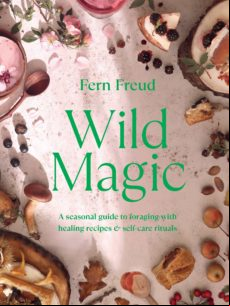 WILD MAGIC EBOOK