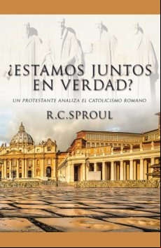 ¿estamos Juntos En Verdad? (ebook)