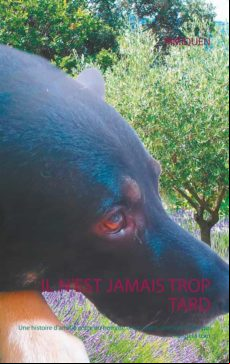 IL NEST JAMAIS TROP TARD EBOOK (edición en francés)