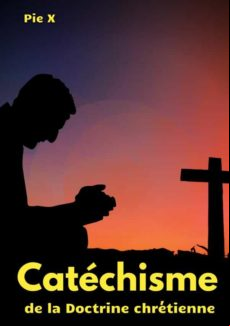 Catéchisme De La Doctrine Chrétienne (ebook)
