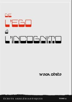 DE LEGO À LINCOGNITO EBOOK (edición en francés)
