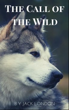 The Call Of The Wild (ebook)