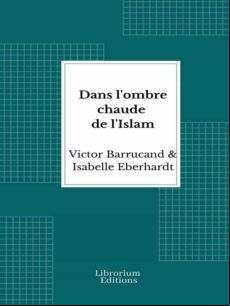 DANS LOMBRE CHAUDE DE LISLAM EBOOK (edición en francés)