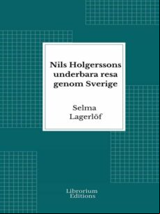 NILS HOLGERSSONS UNDERBARA RESA GENOM SVERIGE EBOOK (edición en sueco)
