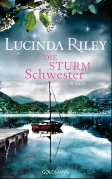 DIE STURMSCHWESTER EBOOK (edición en alemán)