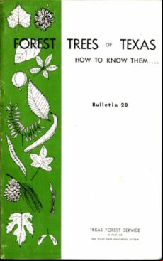 Forest Trees Of Texas (ebook)