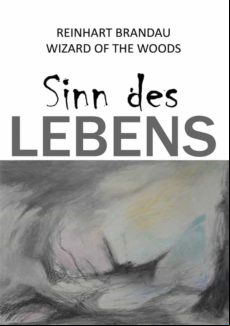 SINN DES LEBENS EBOOK (edición en alemán)