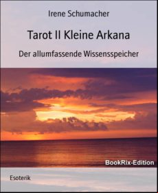 Tarot Ii Kleine Arkana (ebook)