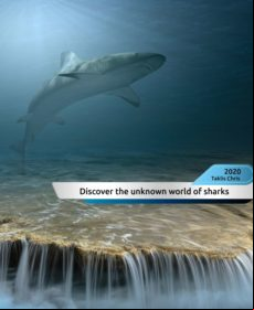 Discover The Unknown World Of Sharks! (ebook)