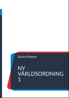 NY VÄRLDSORDNING 1 EBOOK (edición en sueco)