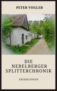 Die Nebelberger Splitterchronik (ebook)