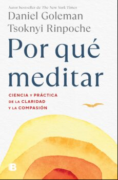 POR QUÉ MEDITAR EBOOK