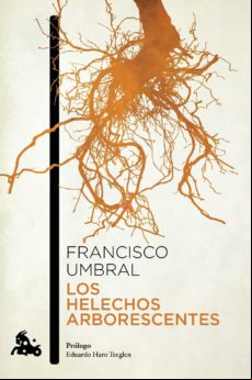 Los Helechos Arborescentes