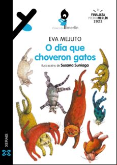 O DÍA QUE CHOVERON GATOS EBOOK (edición en gallego)