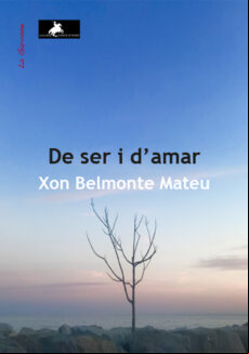 DE SER I DAMAR EBOOK (edición en catalán)