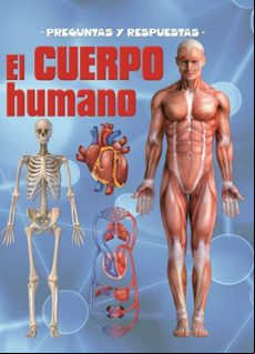PREGUNTAS Y RESPUESTAS EL CUERPO HUMANO