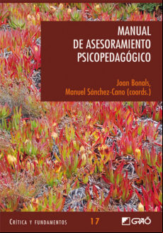 Manual De Asesoramiento Psicopedagógico (ebook)