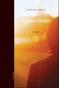 Desencontro (ebook)