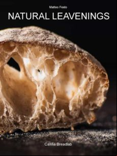 Natural Leavenings (ebook)
