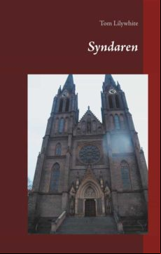 Syndaren (ebook)