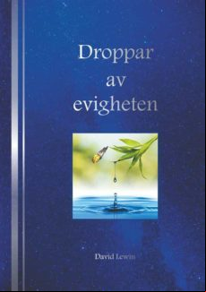 Droppar Av Evigheten (ebook)