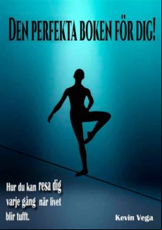 Den Perfekta Boken För Dig! (ebook)