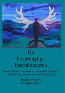 De Ursprungliga Instruktionerna (ebook)