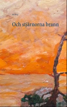 Och Stjärnorna Brann (ebook)