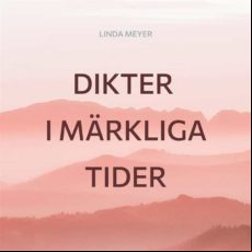 Dikter I Märkliga Tider (ebook)