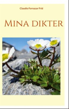 MINA DIKTER EBOOK (edición en sueco)