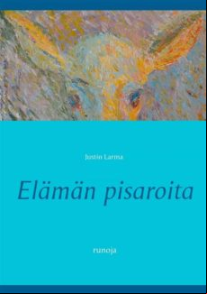 Elämän Pisaroita (ebook)