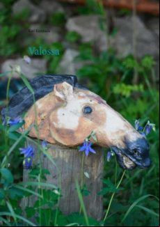 Valossa (ebook)