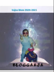 BLOGGAAJA EBOOK (edición en finlandés)