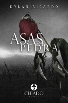 Asas De Pedra (ebook)