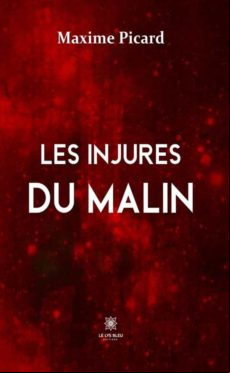 LES INJURES DU MALIN EBOOK