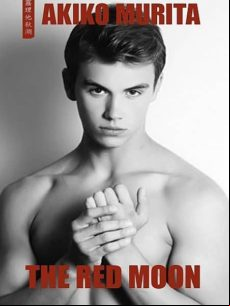 The Red Moon (ebook)