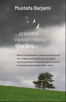 ...pranvera Na Kish Mbetur Diku Larg (ebook)
