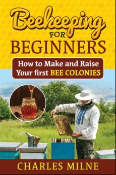 BEEKEEPING FOR BEGINNERS EBOOK