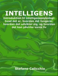 INTELLIGENS EBOOK