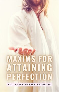 MAXIMS FOR ATTAINING PERFECTION EBOOK (edición en inglés)