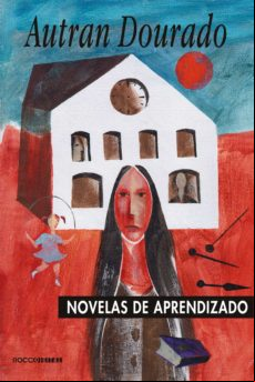 Novelas De Aprendizado (ebook)